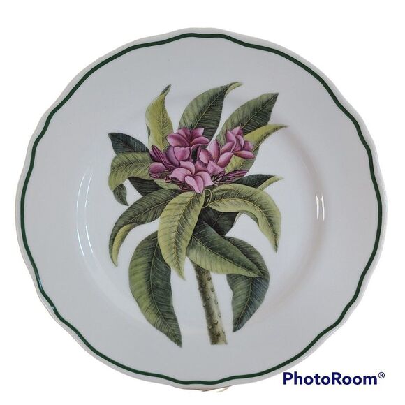Rare Andrea by Sadek Plumeria Dinner Plate Williamsburg Catesby Collection VTG - Picture 1 of 14